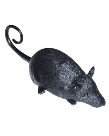 Schwarze Ratte mit Fernbedienung