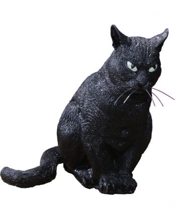 Schwarze Hexen Katze