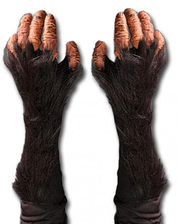 Schimpansen Handschuhe