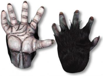 Schimpansenhände schwarz