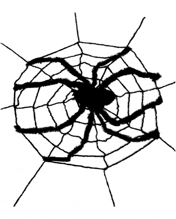 Riesen Spinnennetz mit Spinne