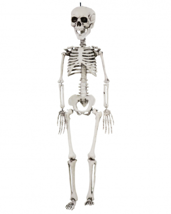 Deko Skelett 72 cm